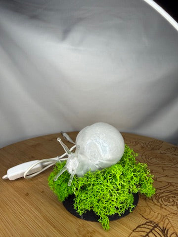 Snail in Moss RGB Table Light