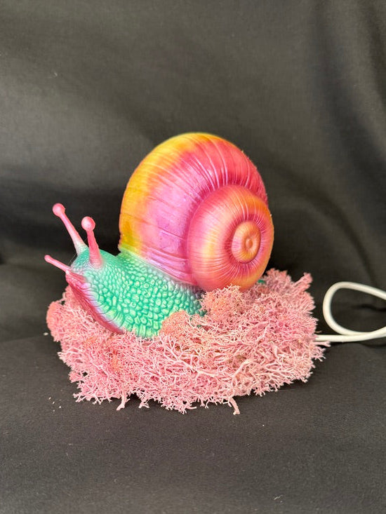 Large Whimsical Snail RGB 3DP Table Light With Moss