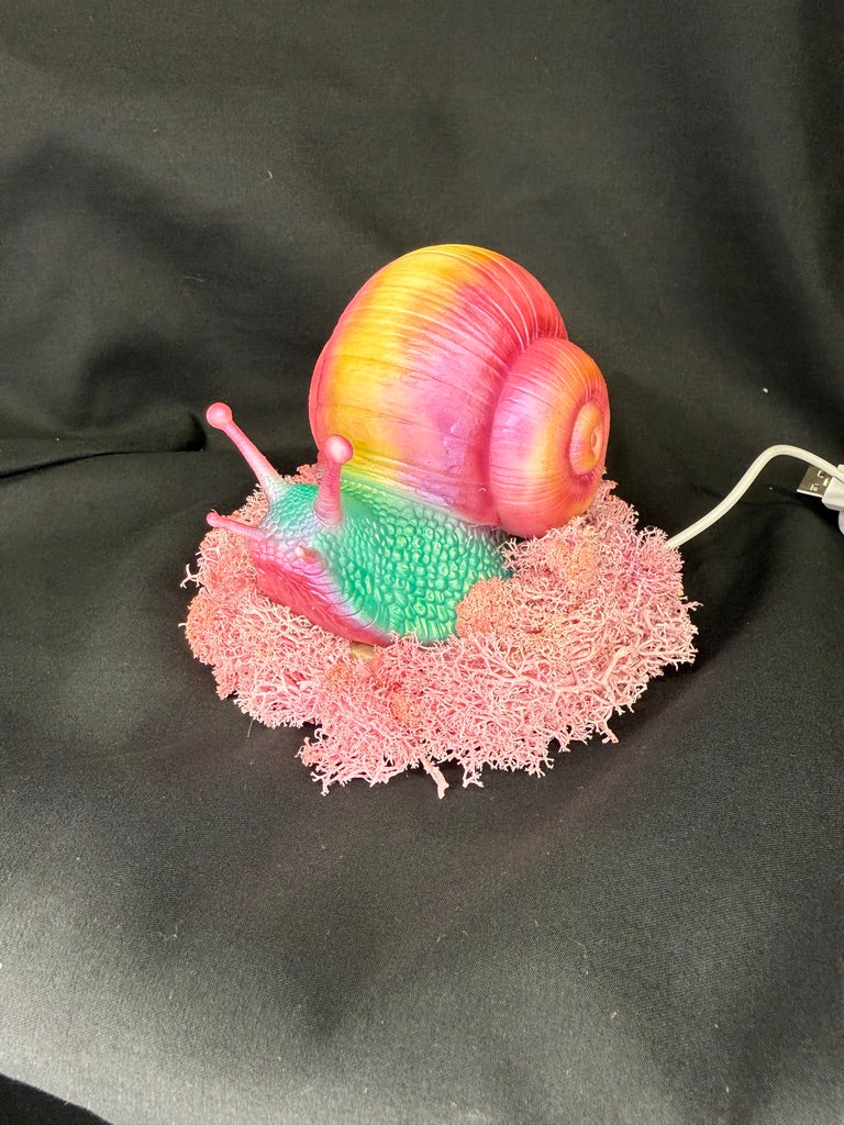 Large Whimsical Snail RGB 3DP Table Light With Moss