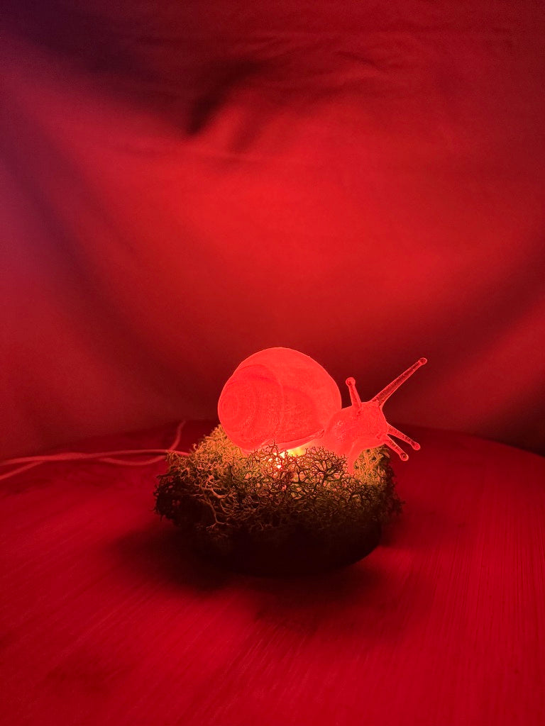 Snail in Moss RGB Table Light