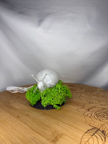Snail in Moss RGB Table Light