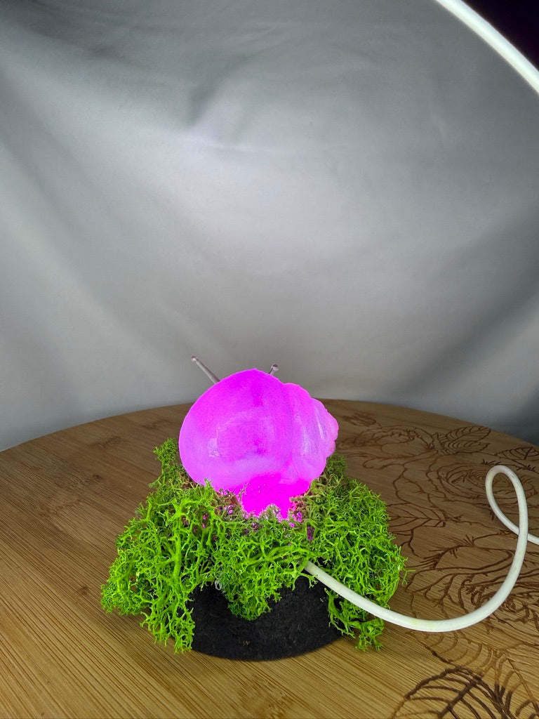 Snail in Moss RGB Table Light