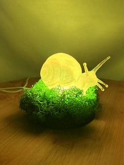 Snail in Moss RGB Table Light