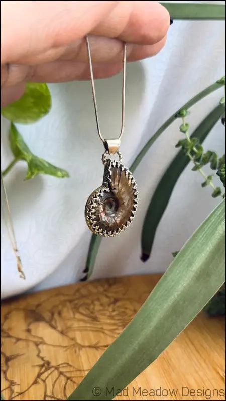 Reversible Ammonite Sterling Silver Pendant Necklace - Jewelry