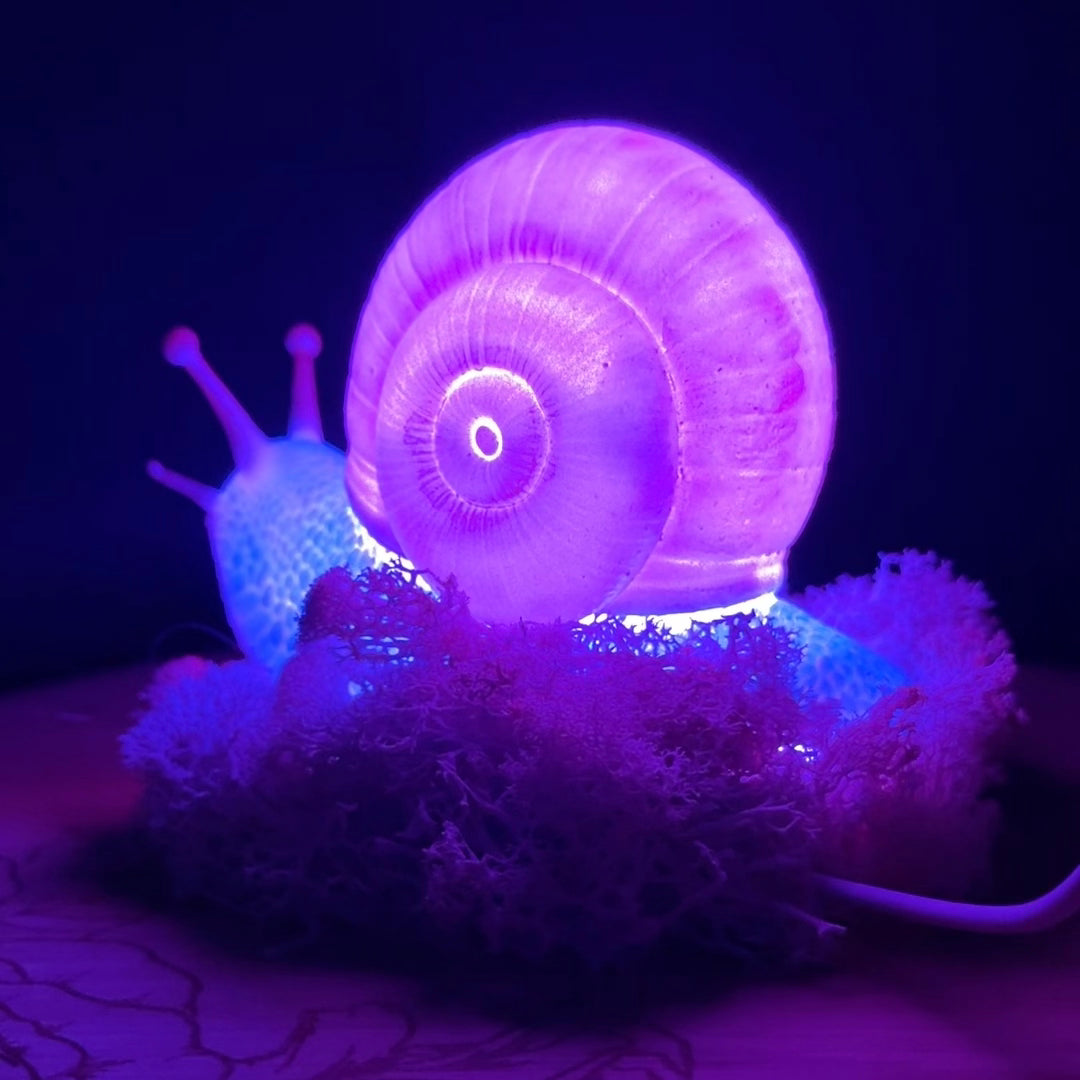 Large Whimsical Snail RGB 3DP Table Light With Moss