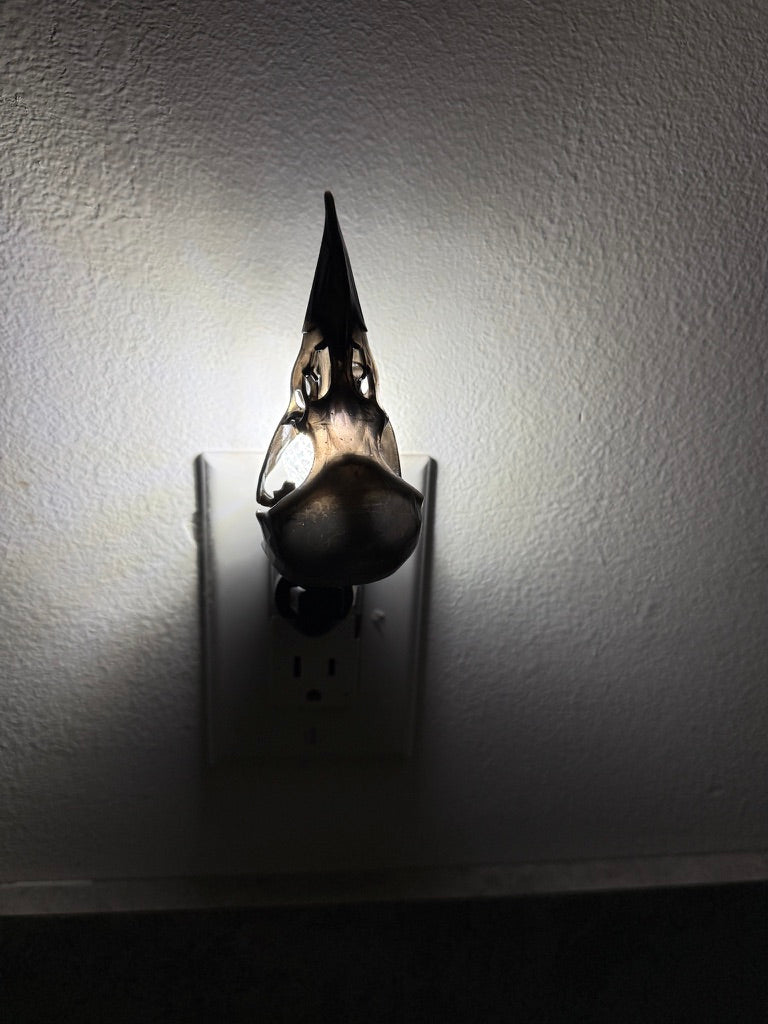 Black Bird Skull Wall Night Light