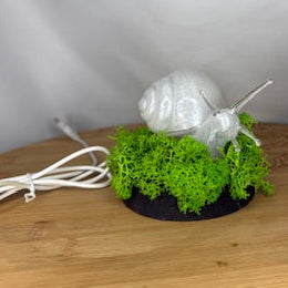 Snail in Moss RGB Table Light