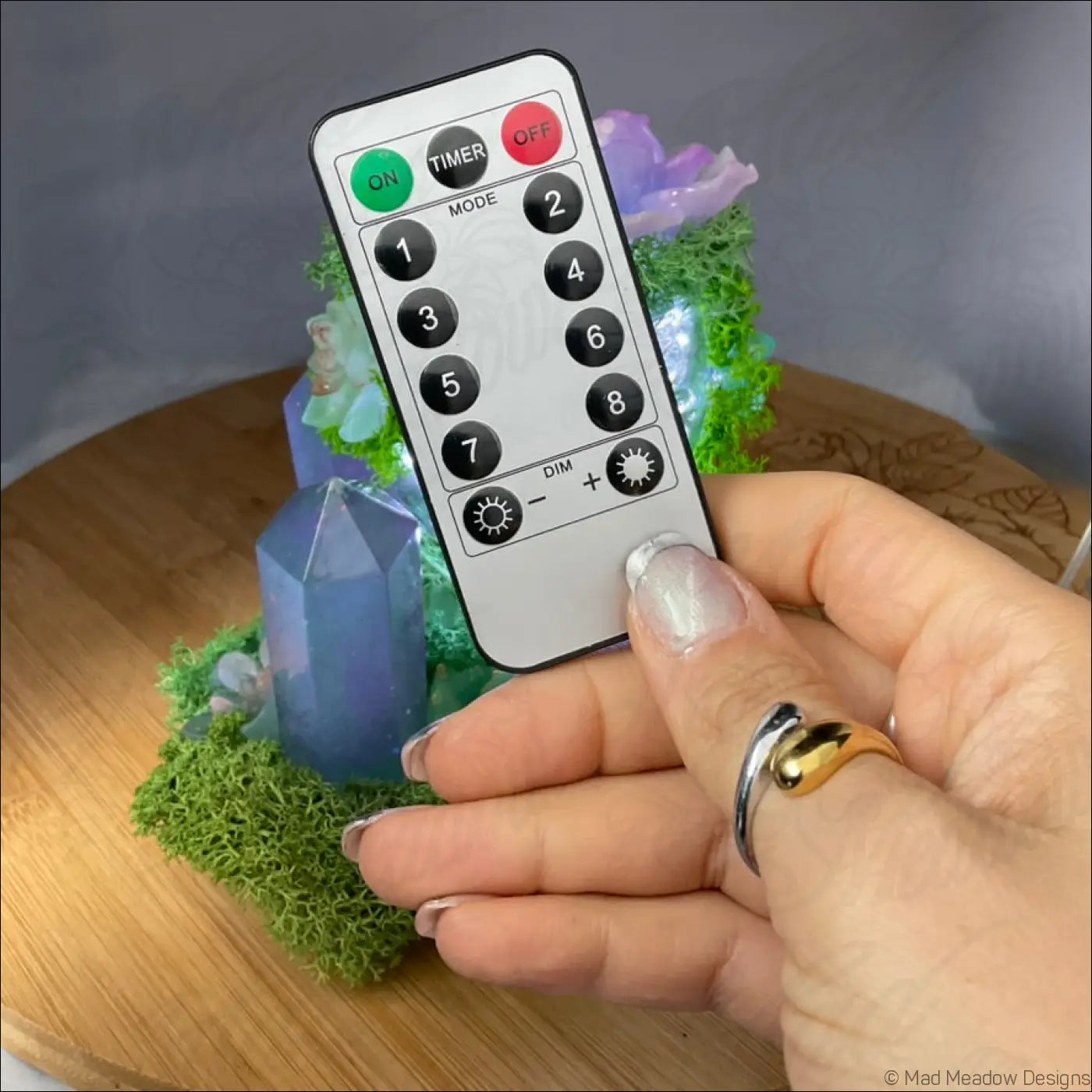 Silver remote control with black buttons for usb powered vintage glass crystal filled garden light with flowers succulents moss