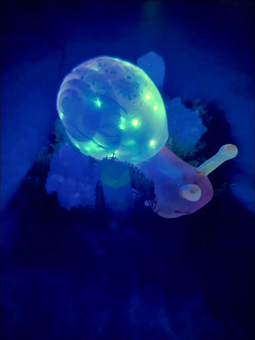 A translucent giant snail led night light with a green glowing shell and pinkish body rgb usb or battery powered