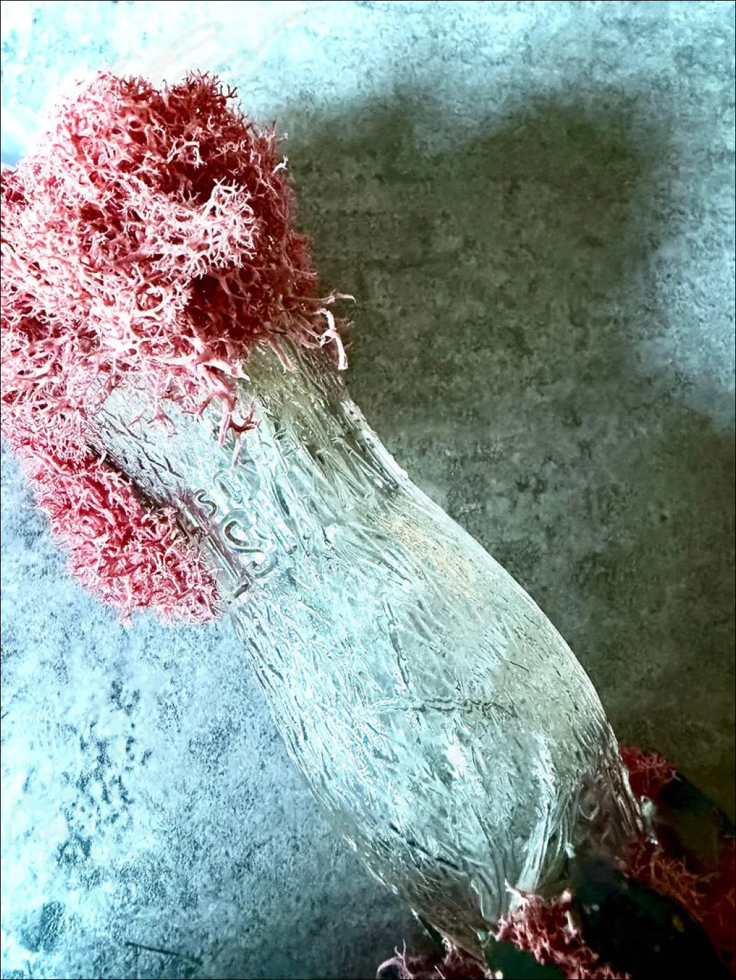 A translucent vintage glass bottle with crackled texture topped with red coral in a 1920s hourglass whistle style