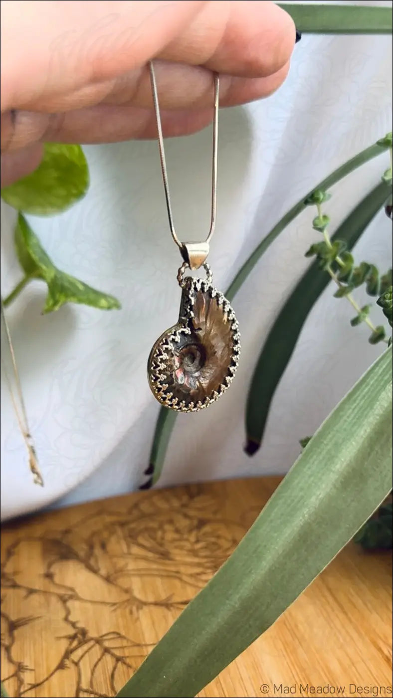 Reversible Ammonite Sterling Silver Pendant Necklace - Jewelry