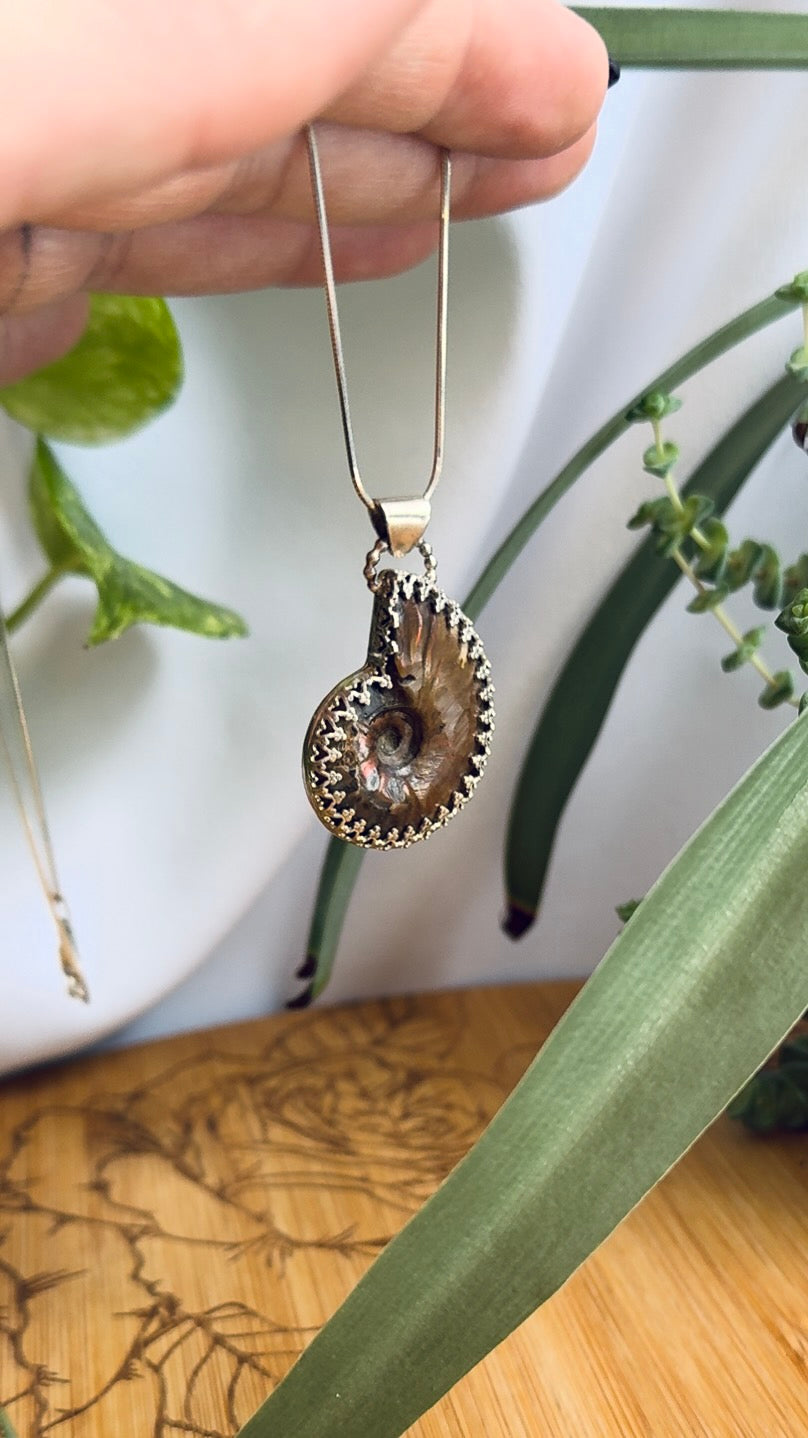 Reversible Ammonite Sterling Silver Pendant Necklace - Jewelry