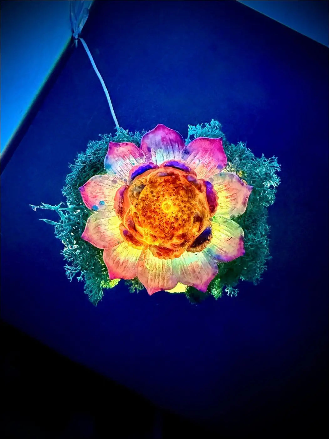 A glowing multi-colored lotus light fixture with pink orange petals and green moss on an antique glass apothecary usb lamp