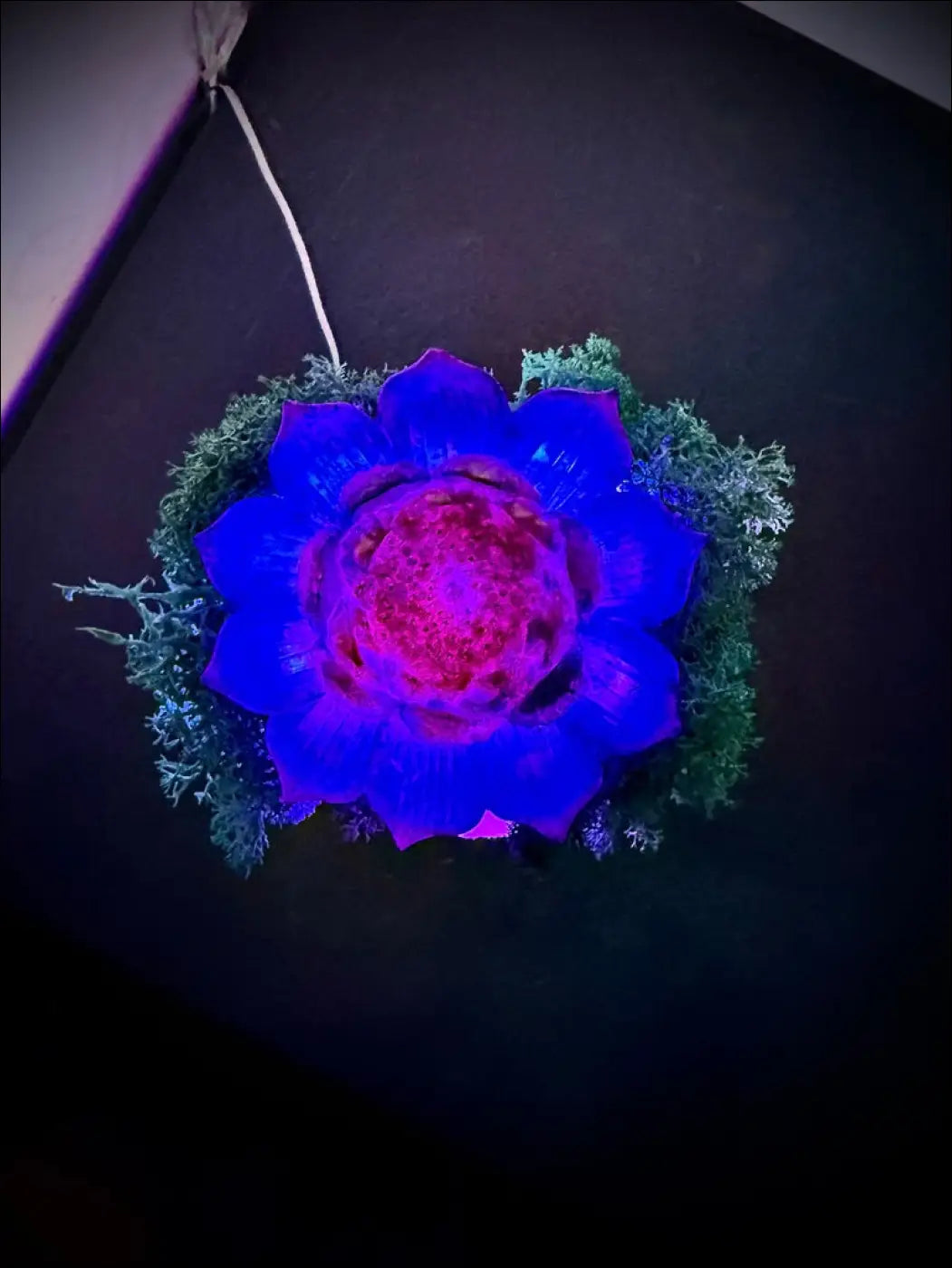 A glowing blue and pink lotus flower on an antique glass apothecary bottle usb light with moss and crystals centerpiece