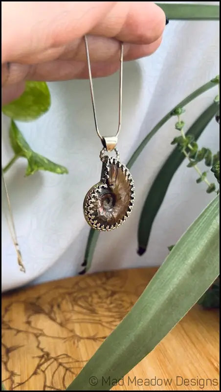 Reversible Ammonite Sterling Silver Pendant Necklace - Jewelry