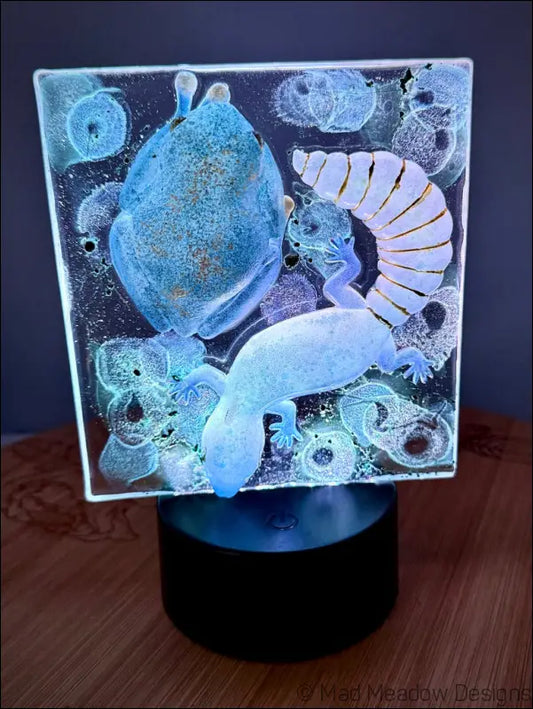 Whimsical Glowing Tree Frog and Gecko RGB Color Change Night Light - Light