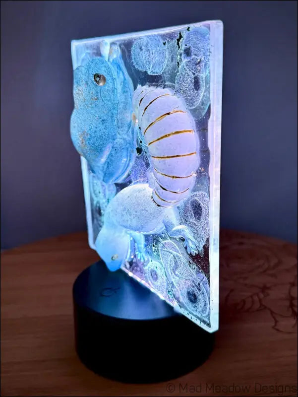 Whimsical Glowing Tree Frog and Gecko RGB Color Change Night Light - Light